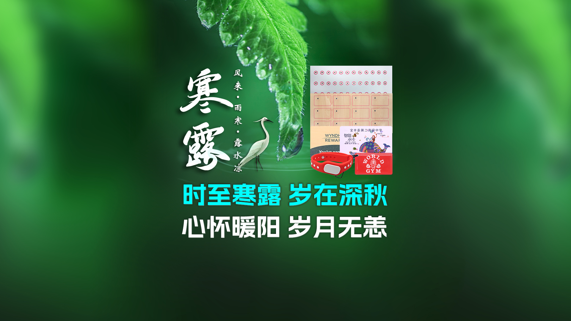 微信圖片_20250929105628_451_127
